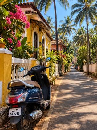 Rented scooter in a palm lane