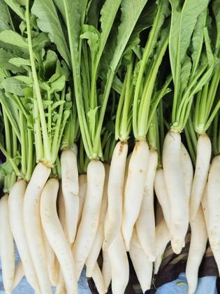 Vegetables