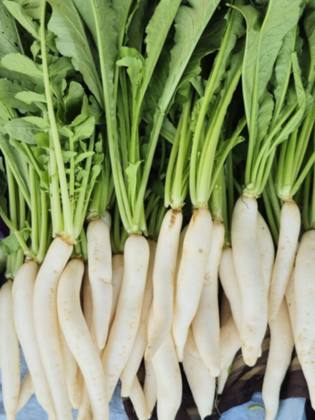 Vegetables