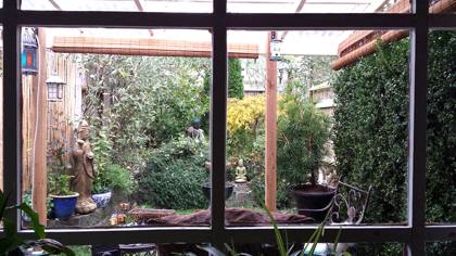 Plants