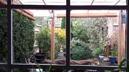 Plants