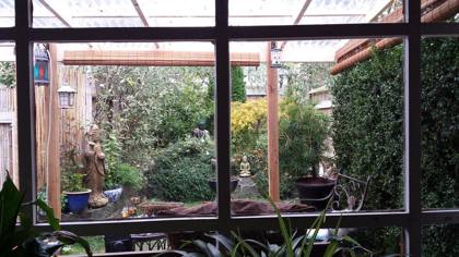 Plants